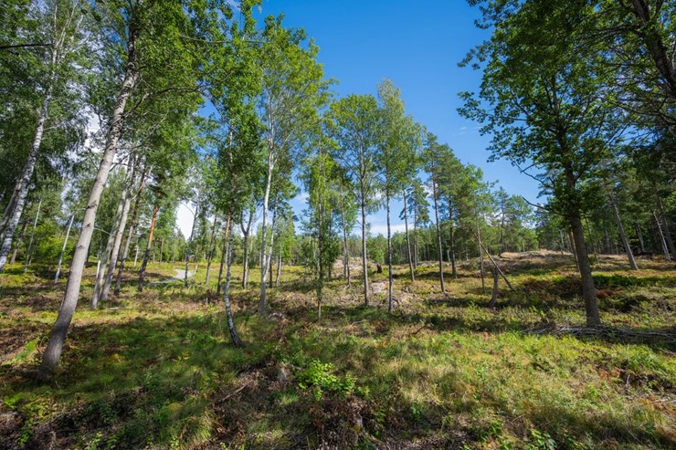 OL_perfectshot_ZF79842_web