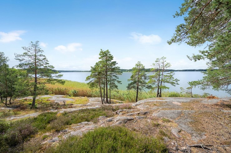 OL_perfectshot_ZF79841_web