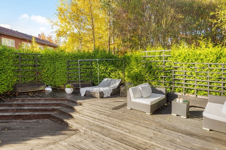 OL_perfectshot_ZF74012_print