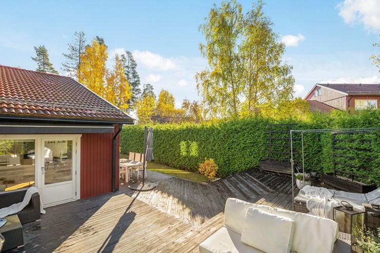 OL_perfectshot_ZF74032_print