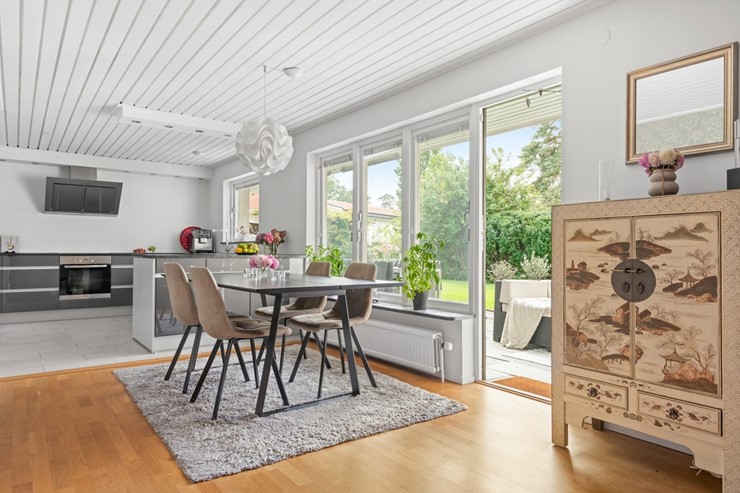 OL_perfectshot_OSS5658