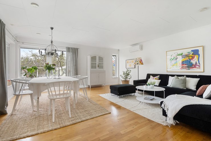 OL_perfectshot_ZF76279_web